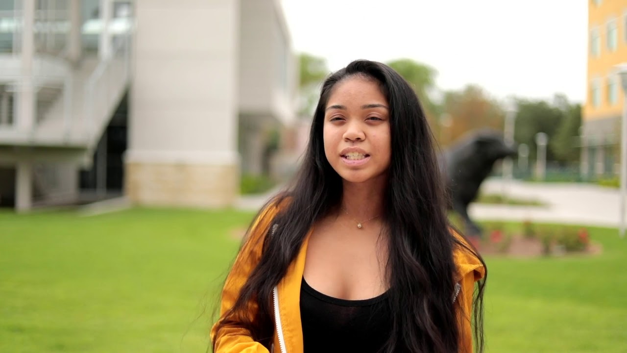 Why USF - Part 1 | University of South Florida