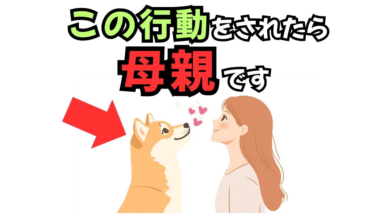 【わんこ好き必見！】犬が「この人だけは別」と決めた時に見せる5つの仕草【犬の気持ち】【犬の雑学】