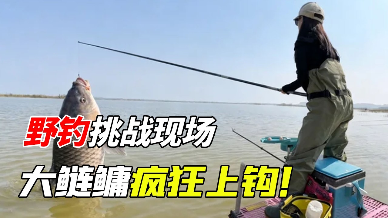 美女勇闖石臼湖深坑，大鰱鳙瘋狂上鉤，魚情爆爽停不下來！