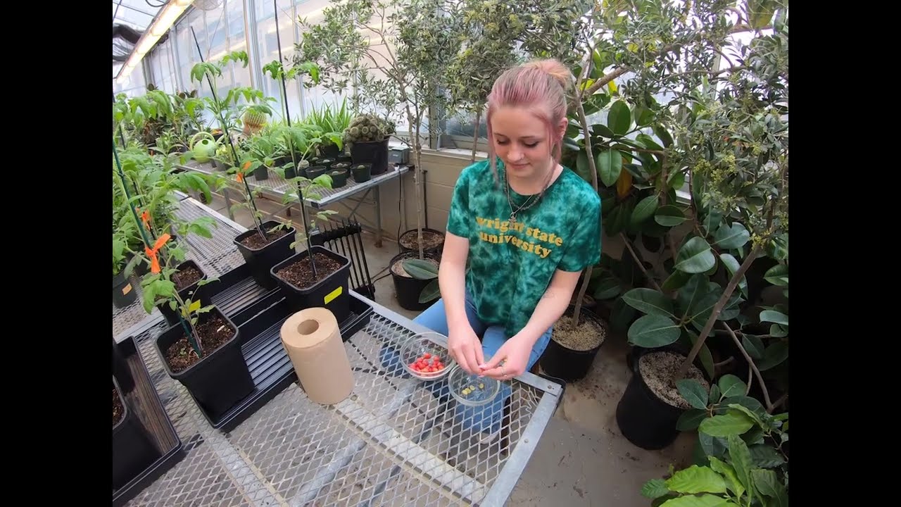 THE NATURALIST | Episode 20 | Growing Your Own Cup of Coffee in Ohio