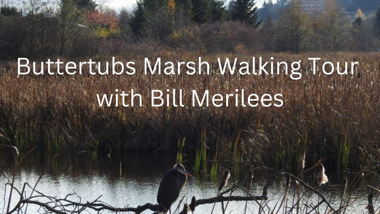 Buttertubs Marsh Walking Tour