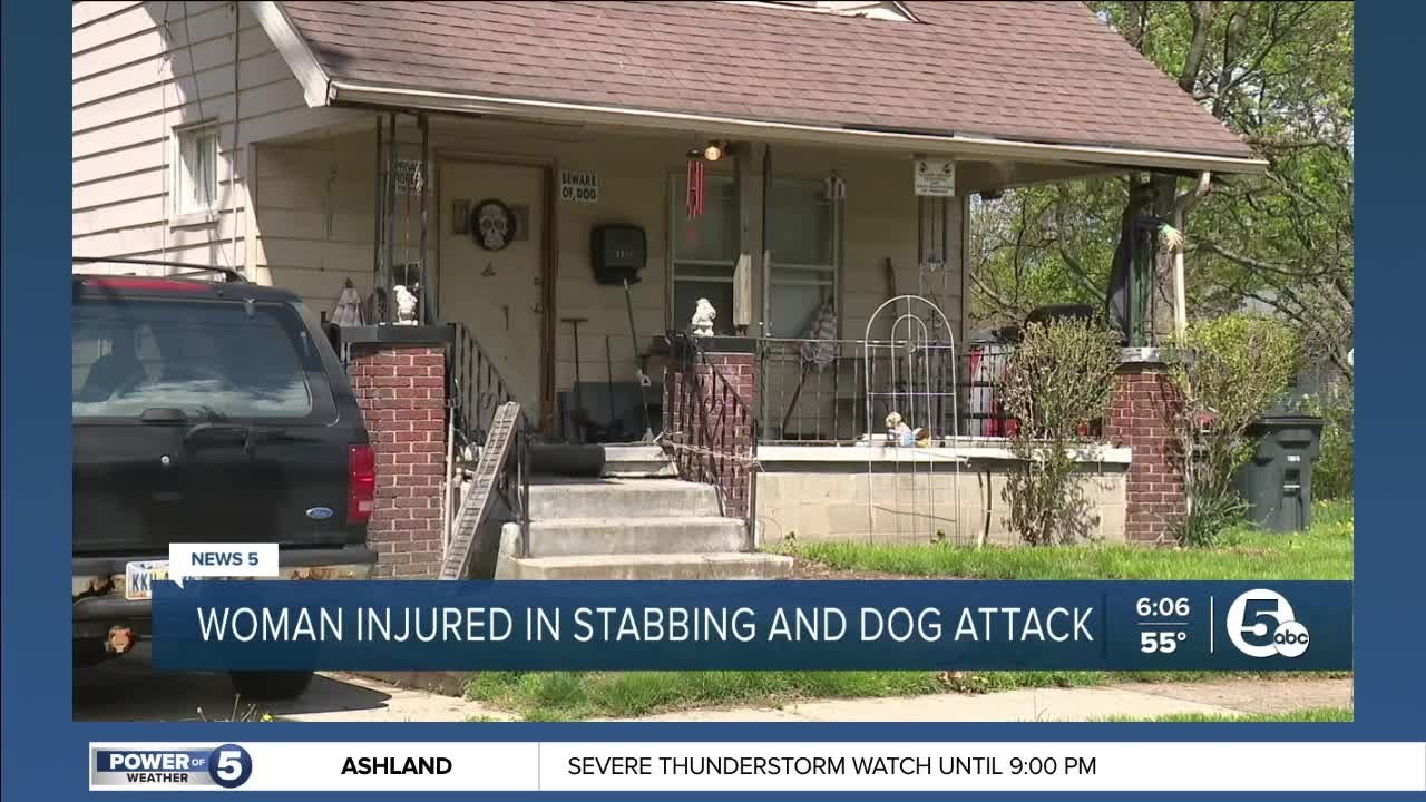 Woman sics pitbull on another woman during violent fight in Akron
