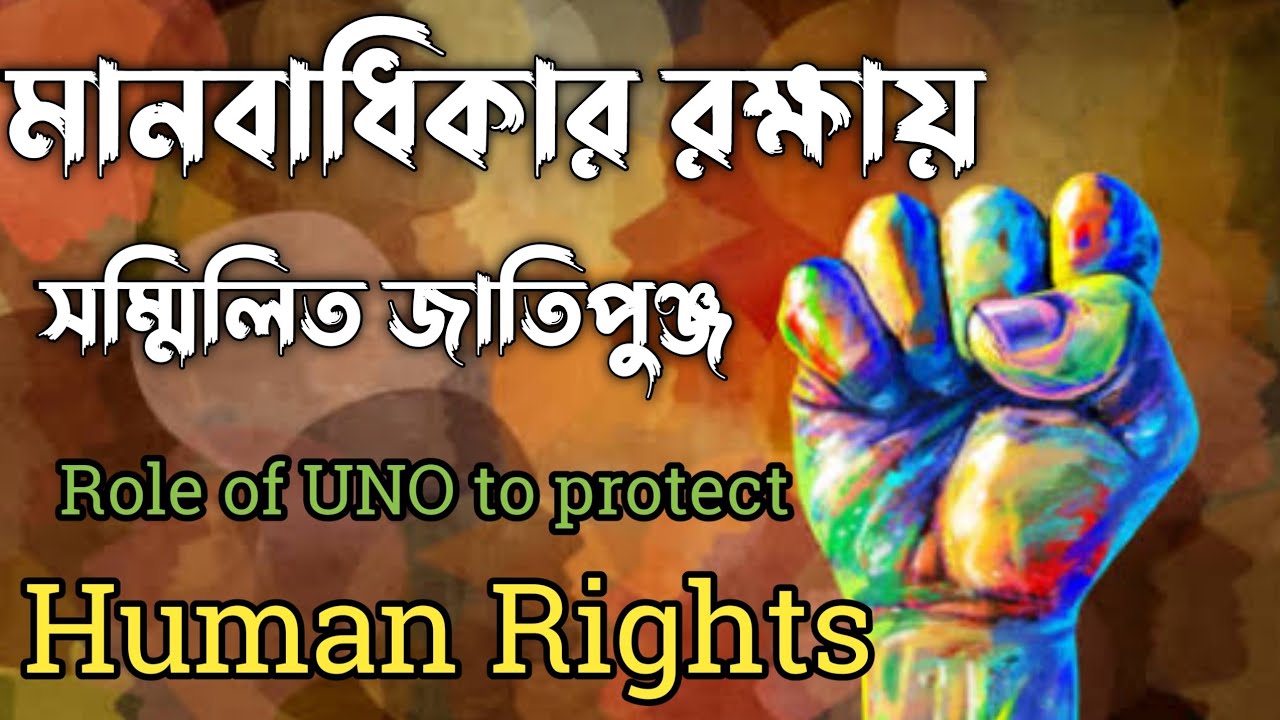 মানবাধিকার রক্ষায় সম্মিলিত জাতিপুঞ্জ| Role of the United Nations in the protection of human rights