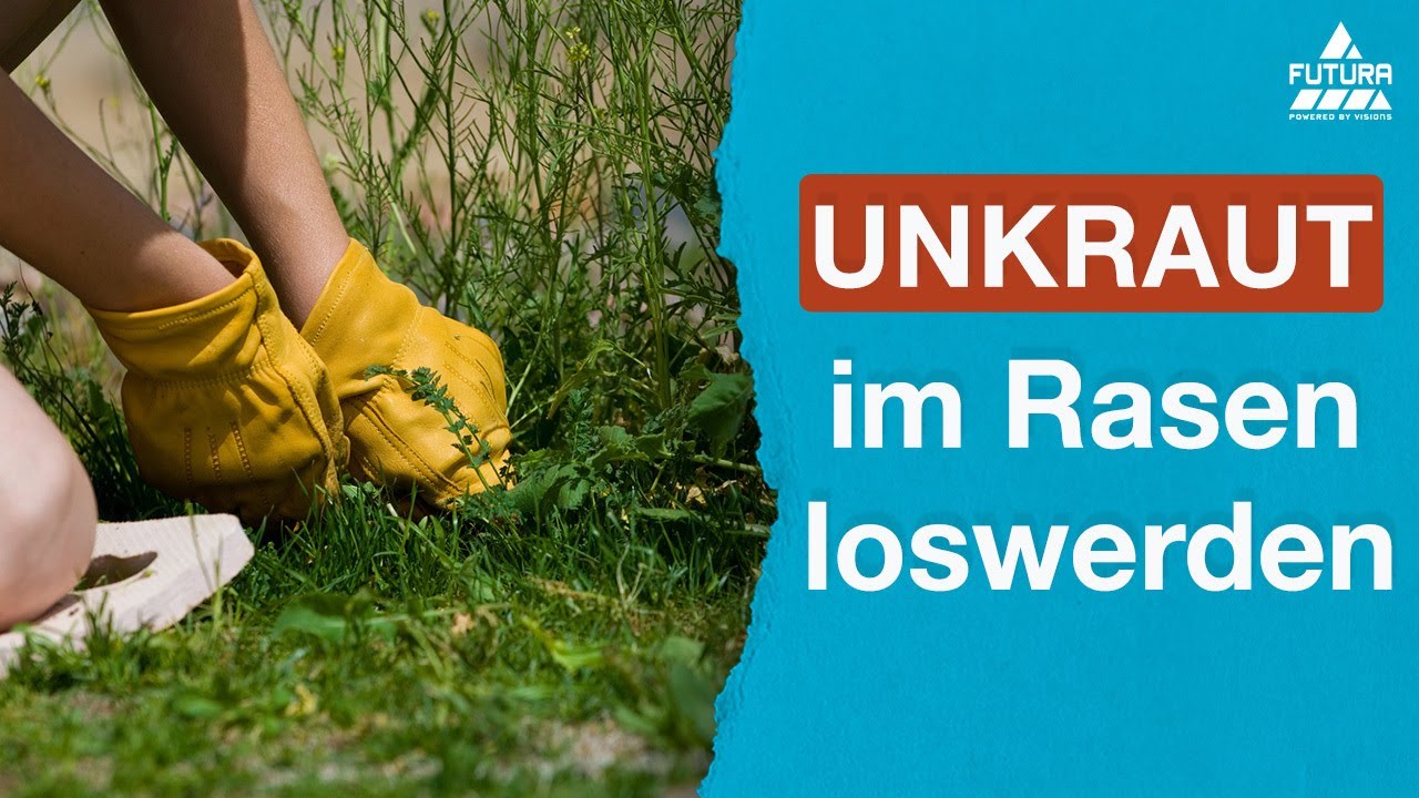 Wie wird man Unkraut im Rasen los? 👉🏻 Die 5 besten Tipps