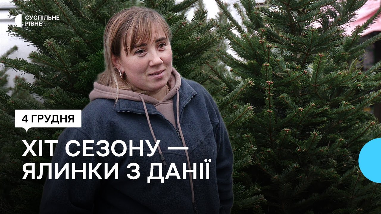 Що кажуть продавці та покупці новорічних дерев, якими почали торгувати в Рівному