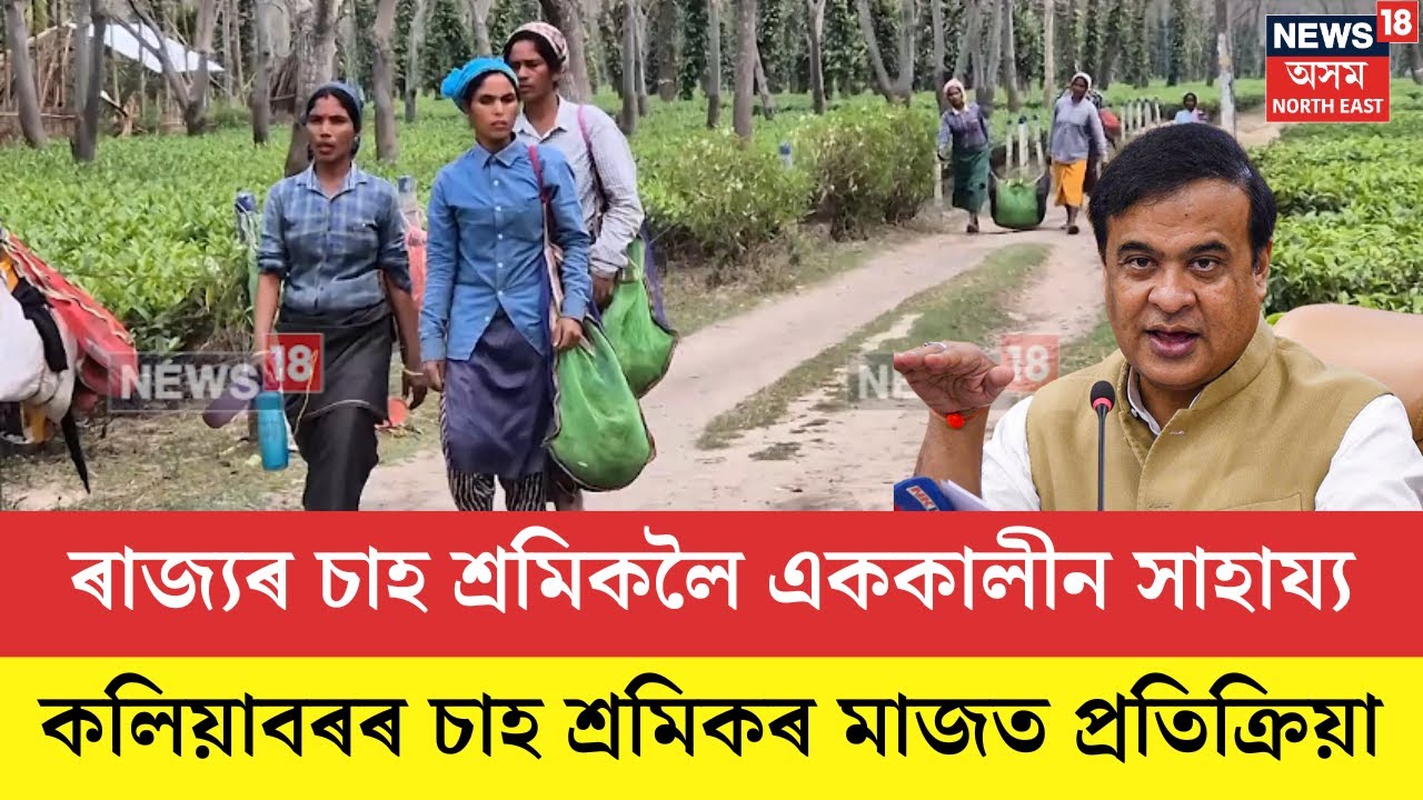 Kaliabor Tea Workers। ৰাজ্যৰ ৬ লাখ ৮০ হাজাৰ চাহ শ্ৰমিকলৈ আগবঢ়োৱা হ’ব এককালীন সাহায্য। N18V