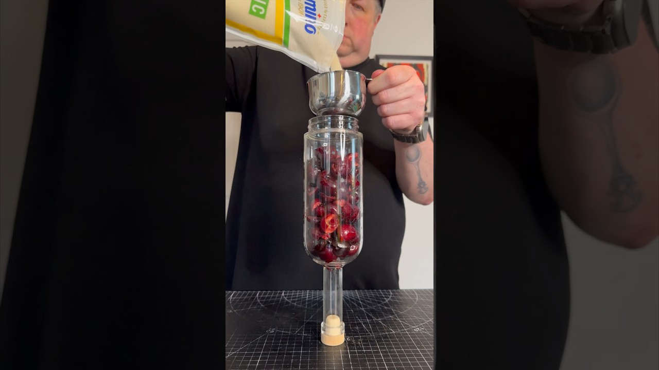 Making a Cherry 🍒 Shrub #cocktailtime #howto #recipe #diy #shorts #cherry #shrub #rock