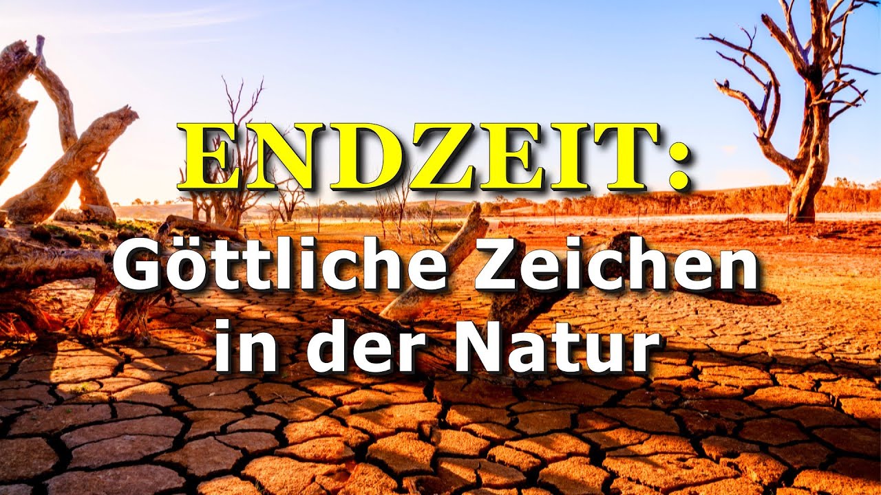 196 - G&ouml;ttliche Zeichen in der Natur.