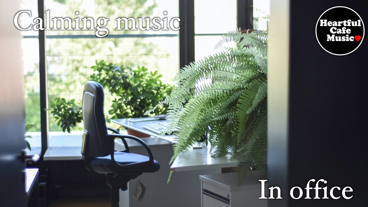 Calming music in office【For Work / Study】Restaurants BGM, Lounge Music, shop BGM