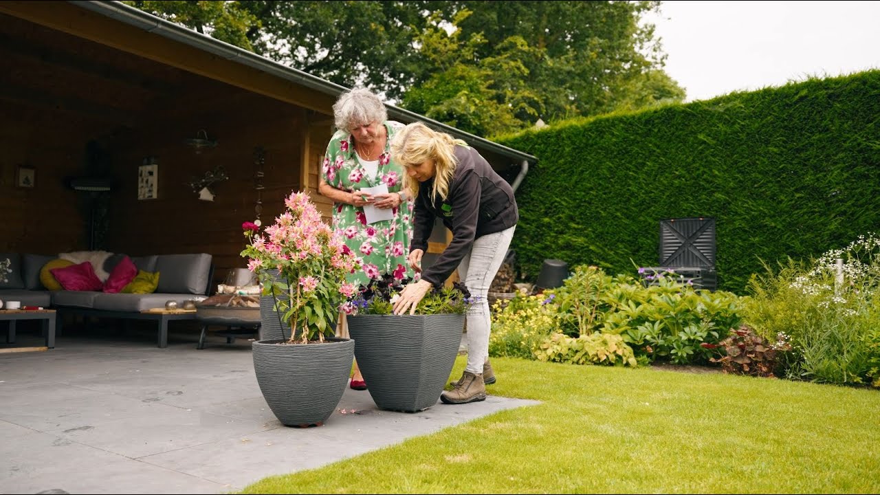 Tuinadvies in jouw tuin? | De TuinTeacher komt bij je thuis
