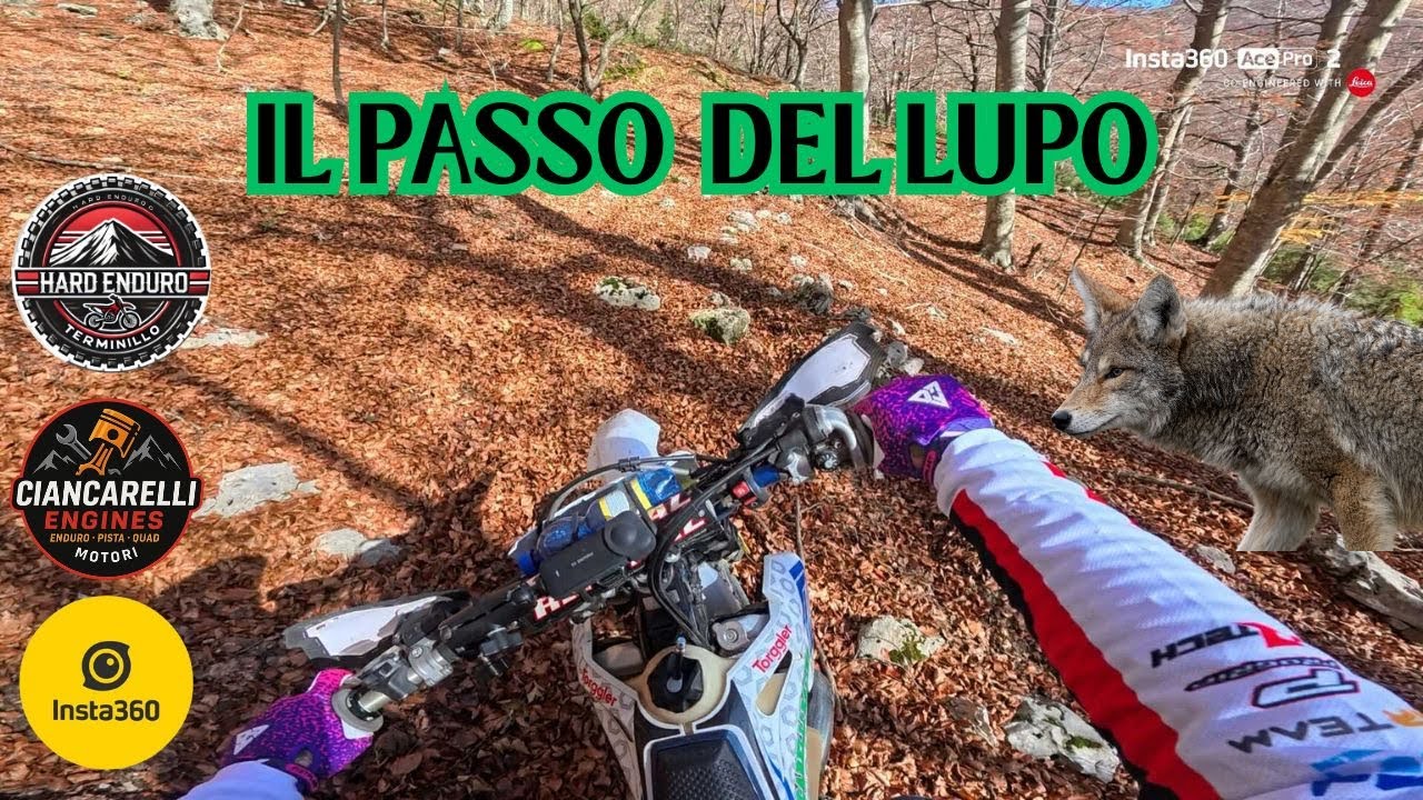 IL FAMOSO PASSO DEL LUPO 