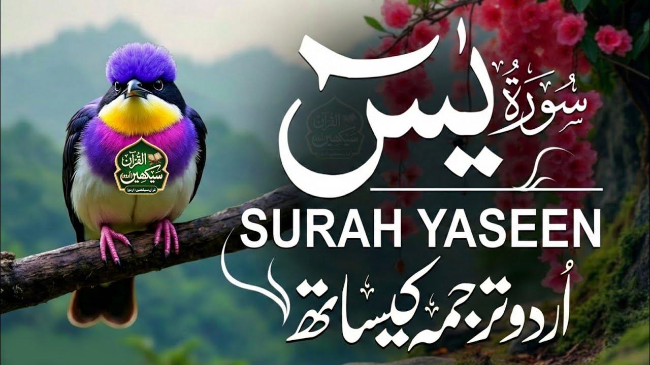 Surah Yaseen Full Recitation with Urdu Translation | Most Beautiful Quran Tilawat