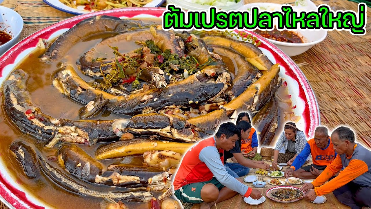 ต้มเปรตปลาไหล โตใหญ่ๆเนื้อเปื่อยๆ ซดกินอยู่กลางทุ่งนา