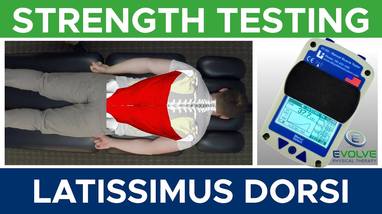 Latissimus Dorsi | Strength Testing with a Hand Held Dynamometer
