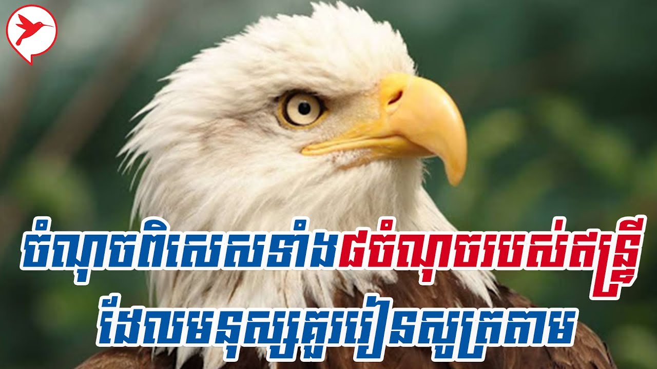 ចំណុចពិសេសទាំង៨ចំណុចរបស់ឥន្រ្ទី ដែលមនុស្សគួររៀនសូត្រតាម | Thy Chanry - មាគា៍បុគ្គលឆ្នើម