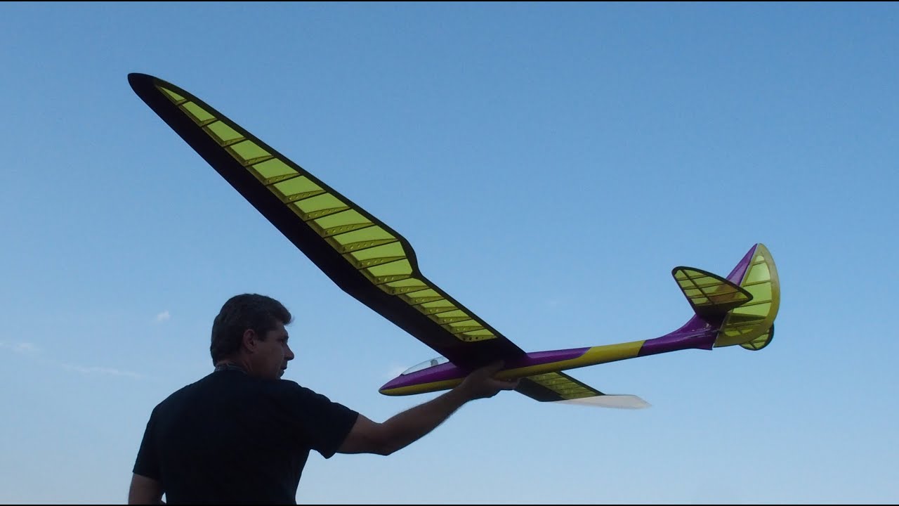 Rc glider Bird of Time