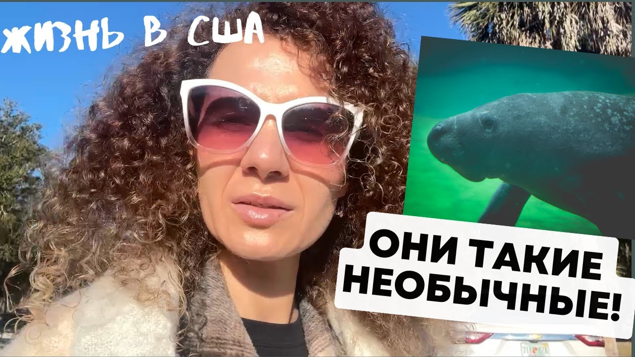 Зима пришла во Флориду / Ламантины / Распаковка / Жизнь в США