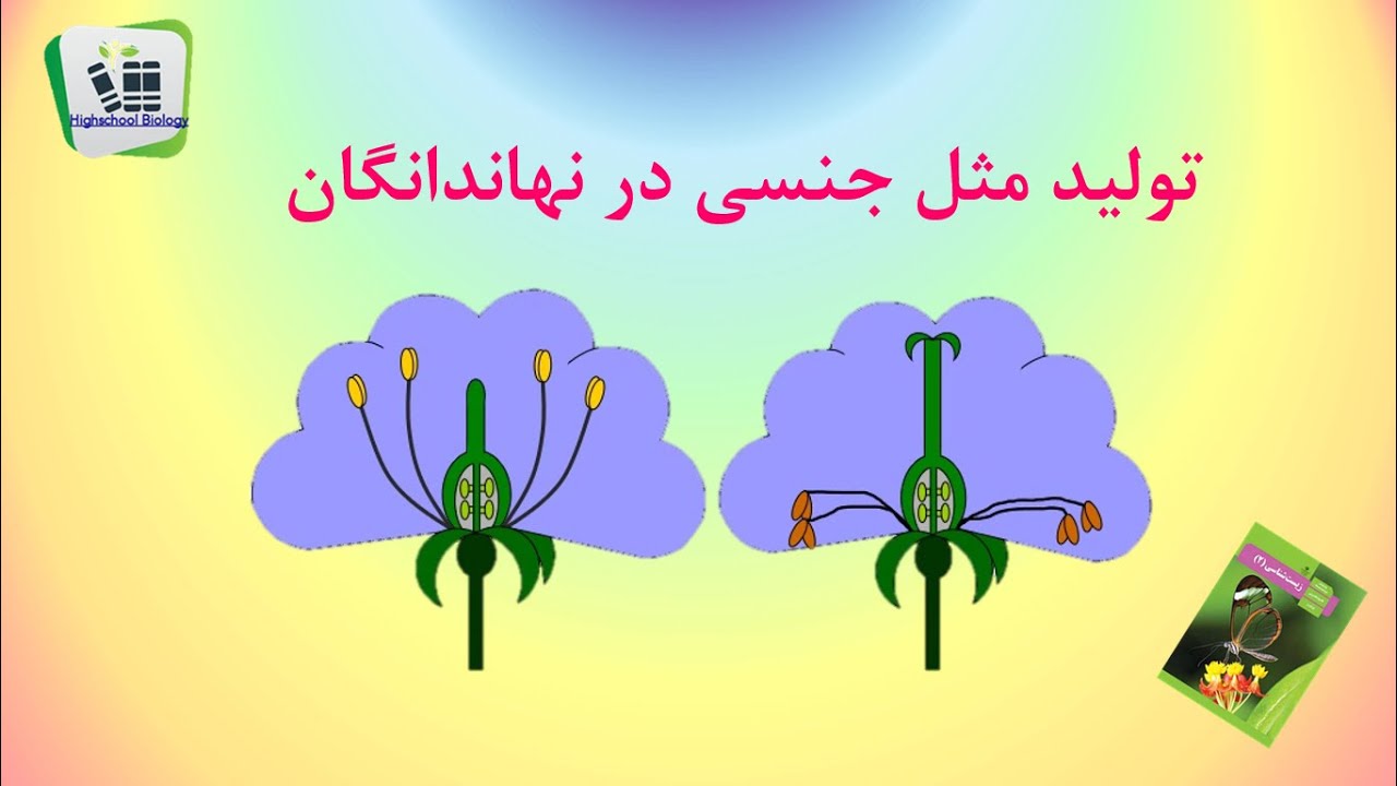 تولید مثل جنسی نهاندانگان.