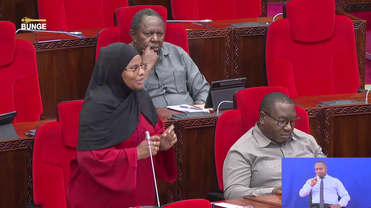 #BUNGELIVE: BUNGE LA KUMI NA MBILI, MKUTANO WA KUMI NA TISA KIKAO CHA KUMI NA TISA, 07 MAY 2025.