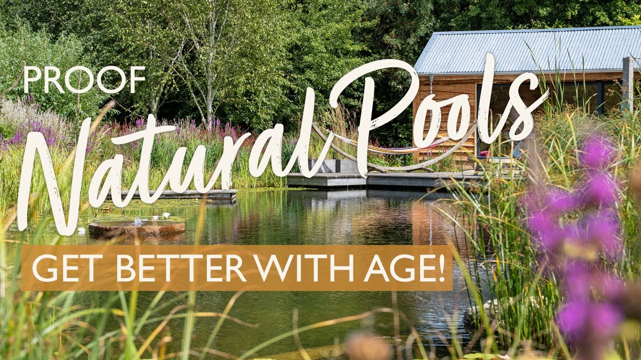 Natural Pool & Garden Design Masterpiece: Where Wildlife & Family Meet