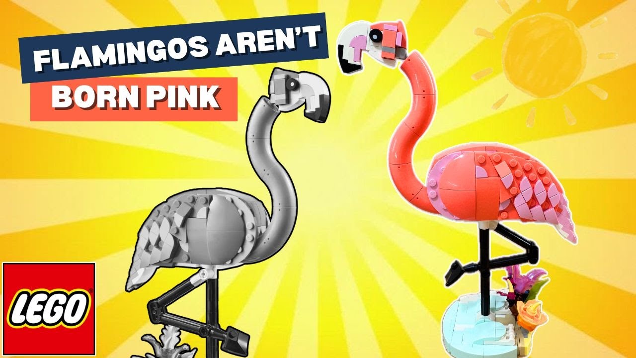 LEGO Pink Flamingo 31170 Creator 3 in 1 | Speed Build & Review