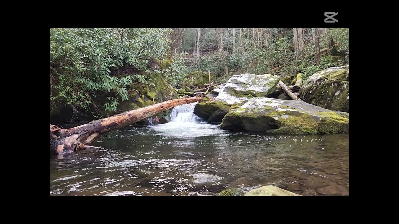 The Beauty of Fly-Fishing Roaring Fork in the Smoky Mountains
