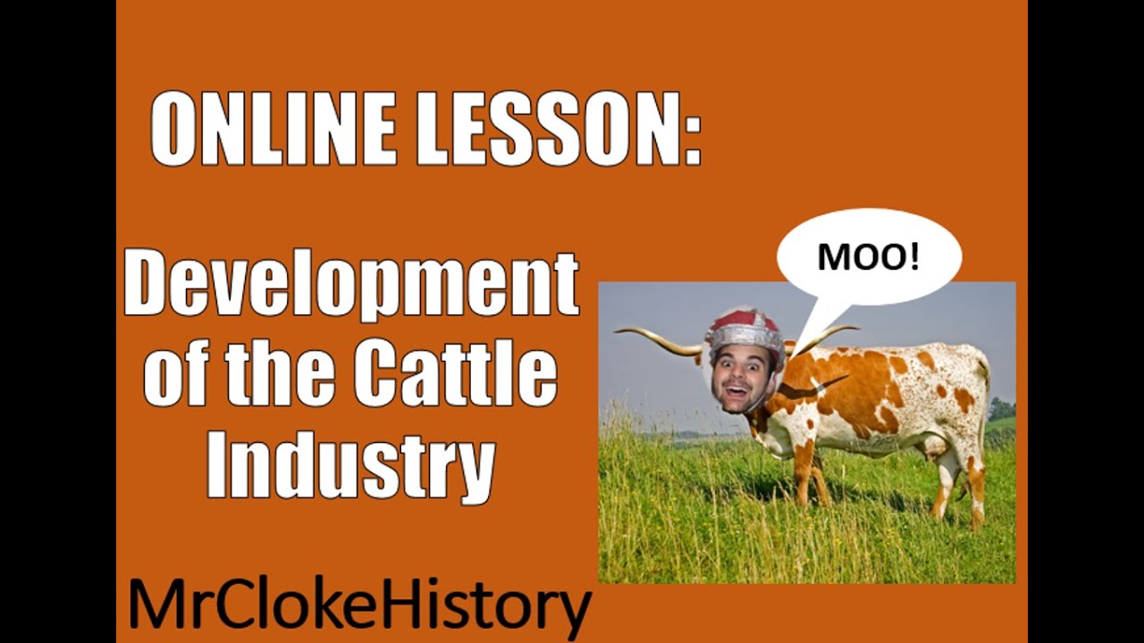 GCSE History - American West: Development of the Cattle Industry