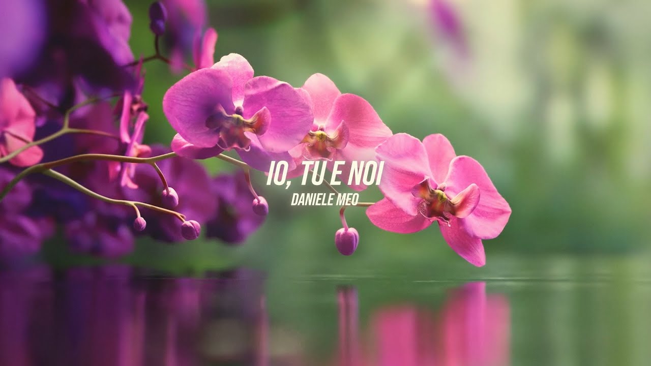 Daniele Meo - Io, tu e noi (Lyric Video)