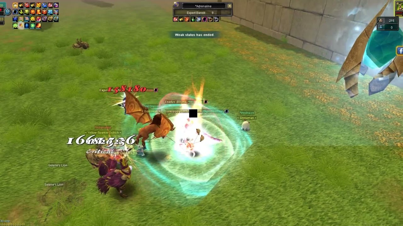 Silkroad Online Theia My Union vs Bots