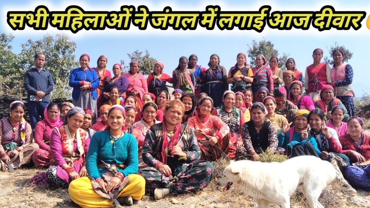 आज लगाई सभी महिलाओ ने जंगल मे दीवाल😁