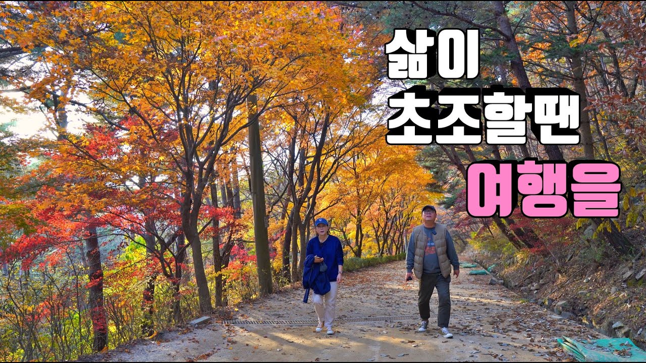 4K [포토라이tv] 삶이 불안하고 초조할땐 여행을 떠나요 |  조령자연휴양림 | 단양 카페산 | 패러글라이딩 | 충주호 유람선 | 캠퍼의여행