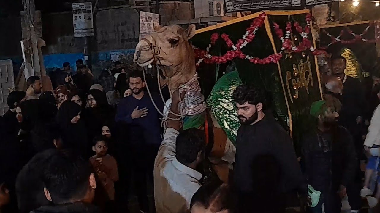 28Rajab Jaloos Safr e Imam Hussain(A.S)Bargah Shaud karbala Aztrf Anjuman Groh e akbari/2026/video 1