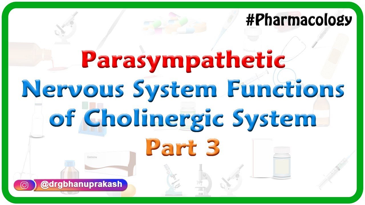 5.Parasympathetic Nervous system - Functions of cholinergic system Part 3 ( ANS Pharmacology )