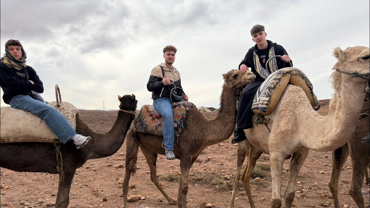 PRIMA DATA ÎN MARRAKECH *NE-AU ATACAT MAIMUȚELE*