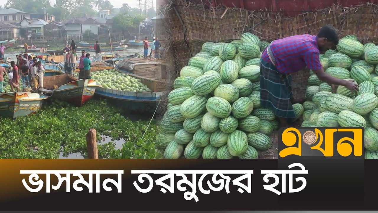 এক হাটে দেড় থেকে দুই কোটি টাকার তরমুজ বিক্রি | Watermelon Bazar | Pirojpur | Ekhon TV