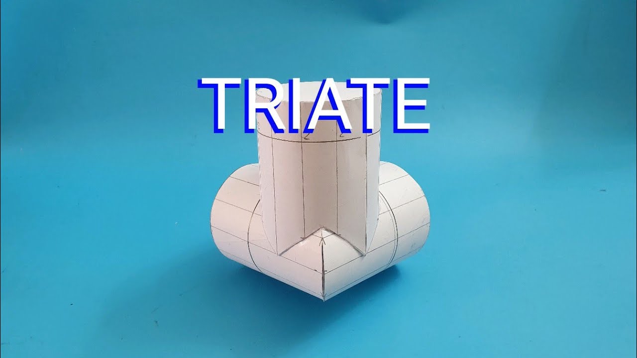 TRIATE O PATA DE PUERCO.