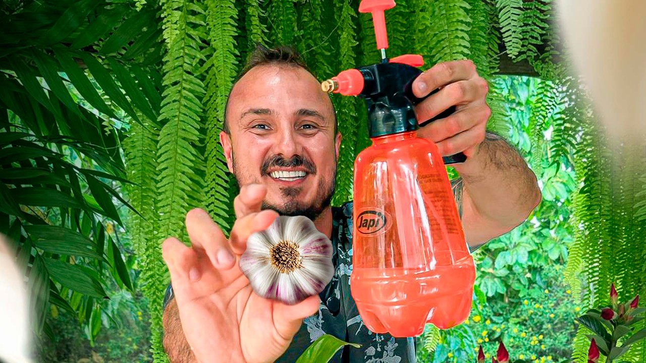 Descubra o poder do ALHO NAS PLANTAS e se SURPREENDA