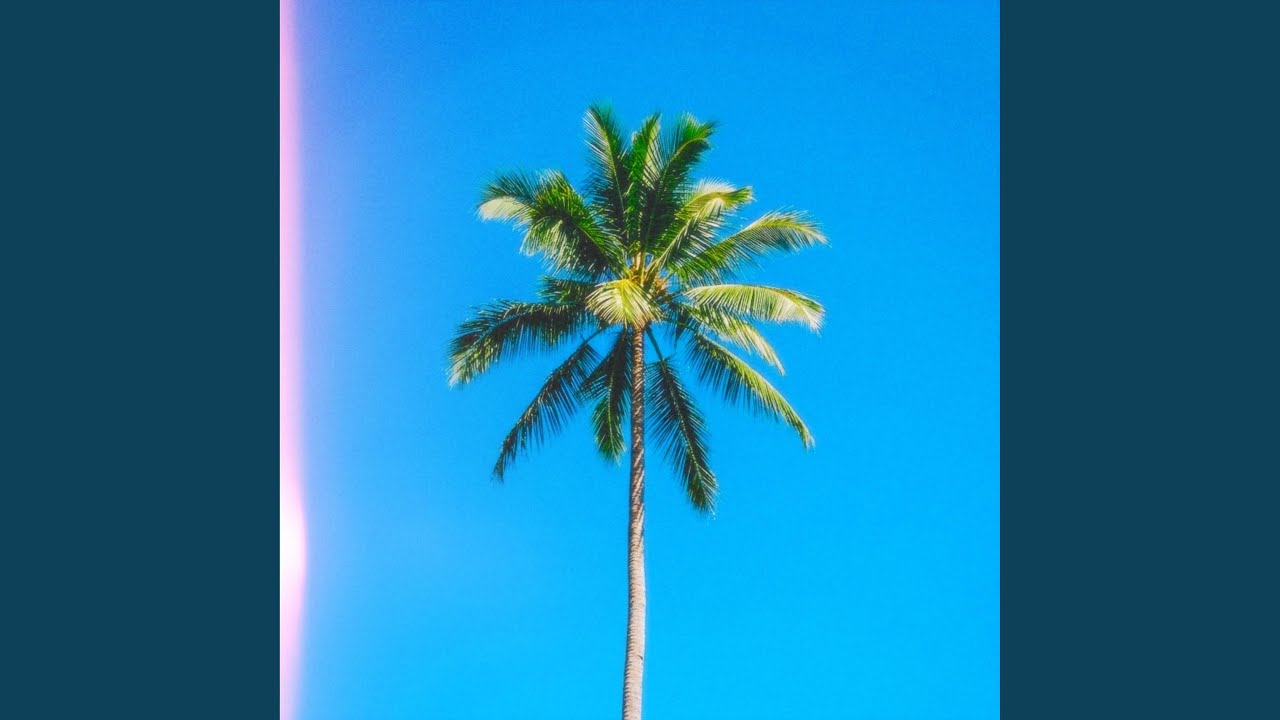 Palm wine tapper