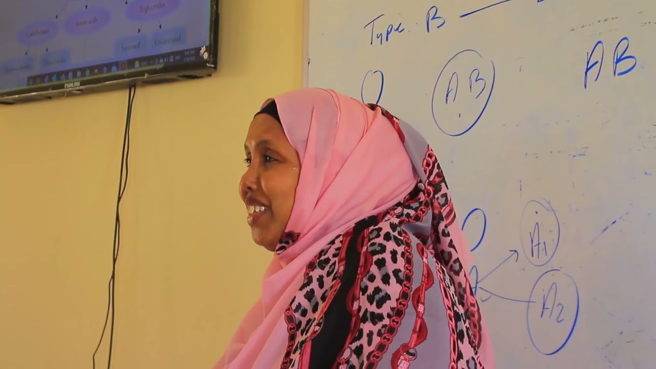 واقع اللغة العربية في مؤسسات التعليم العالي في بونتلاند