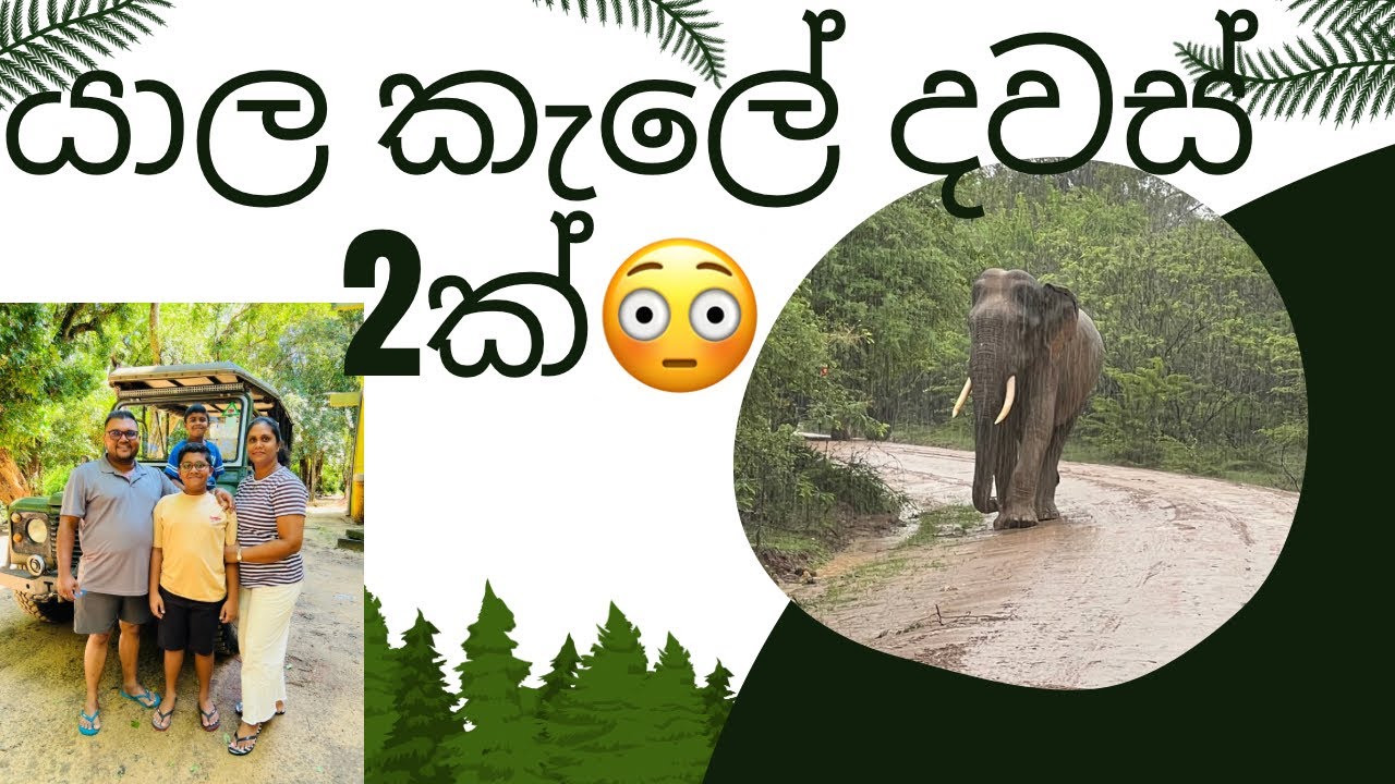 යාල කැලේ දවස් 2ක්/ උදවු කරන්න ගිහින් වෙච්ච වැඩක්