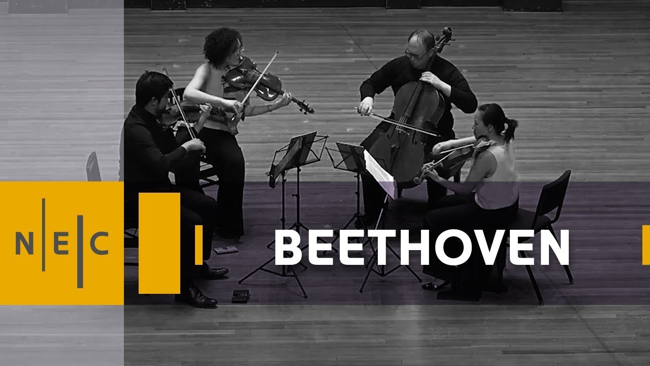 Ludwig van Beethoven: String Quartet No. 16 in F Major, op. 135 – Verona Quartet