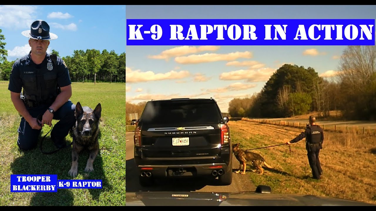 K-9 RAPTOR helps locate drug load and cash from drug mule - Arkansas State Police catch another!