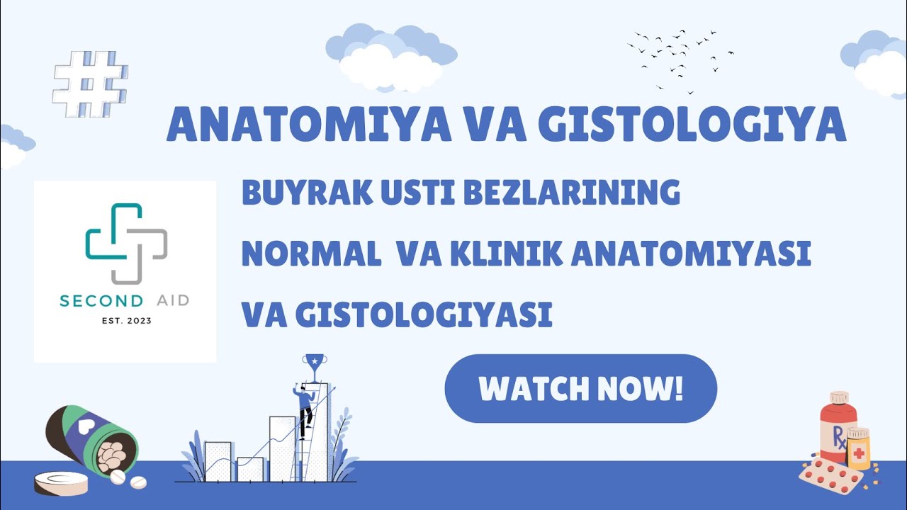 Buyrak ustiz bezlari normal va klinik anatomiyasi