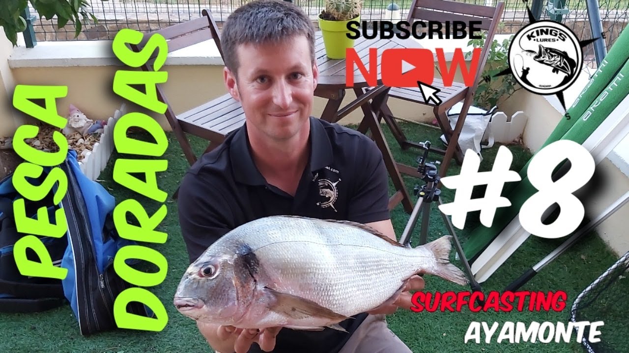 🔥🐸PESCA AL SURFCASTING DORADAS🐳LICENCIA DE PORTUGAL Y PESCA ALGARVE🐸🔥