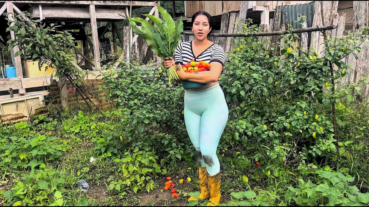 Acompáñame a recoger pimientos en mi jardín
