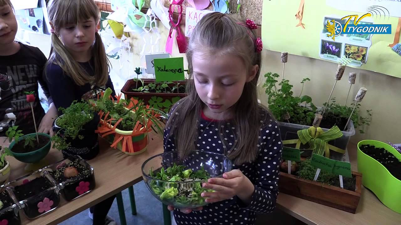 PSP nr 3 w Gogolinie Szkoła -  Promująca Zdrowie