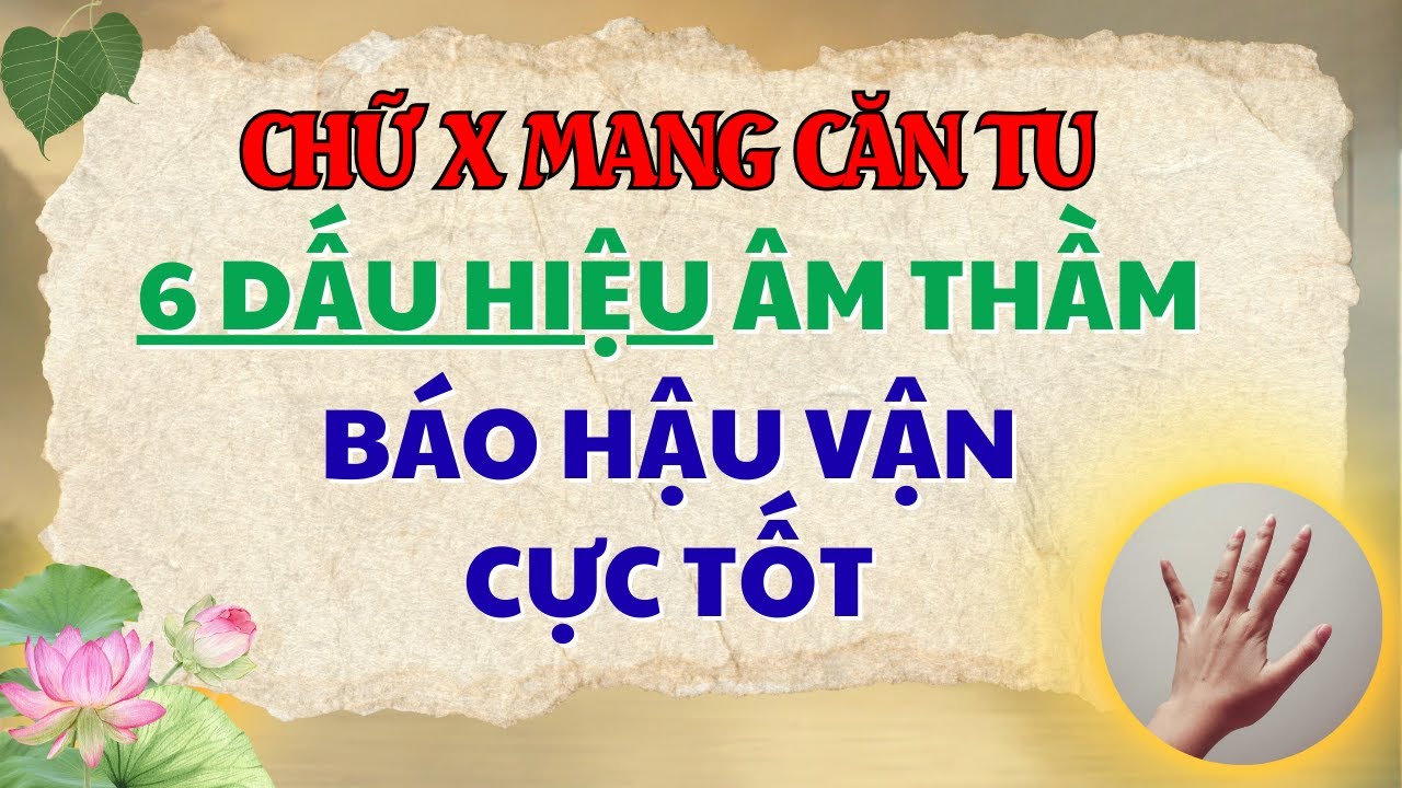 Người Chữ X Mang Căn Tu: 6 Dấu Hiệu Âm Thầm Báo Hiệu Hậu Vận Cực Tốt