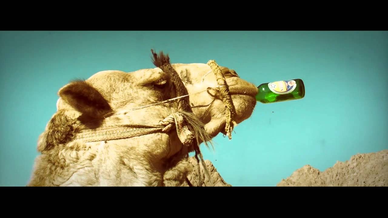 Verrückte Hunde - Foxn`s 100 Rhymes Auf Amigakabel (Official Video)