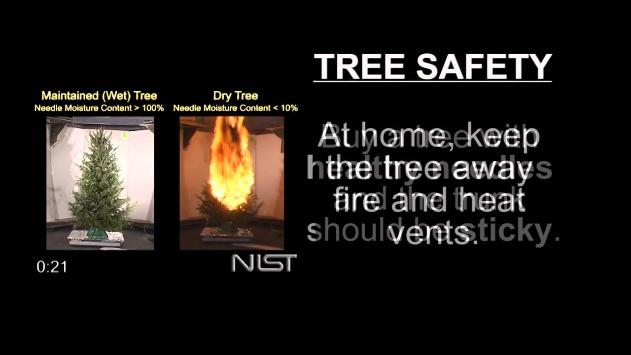 Christmas Tree Safety PSA