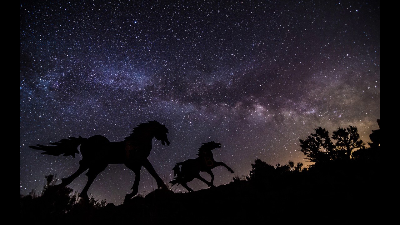 Mg677 - Horses Everywhere